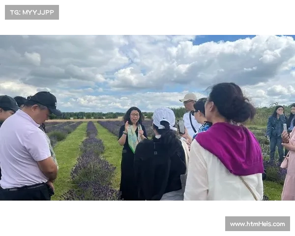 珠海以赛事为桥梁吸引港澳参与共绘多元文化融合新篇章 珠海以赛事为桥梁吸引港澳参与共绘多元文化融合新篇章